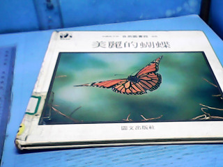 童書-美麗的蝴蝶