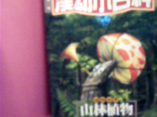 書-山林植物