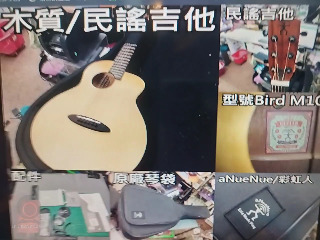 Bird M10