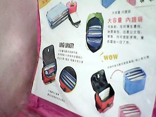袋中袋