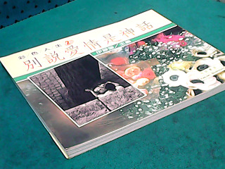 書-別說愛情是神話