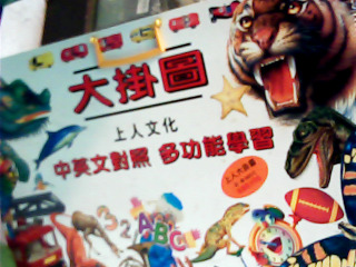 單字掛圖