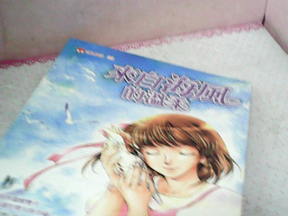 小說