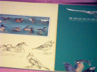 郵票冊