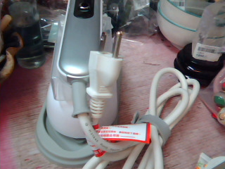 蒸氣電熨斗