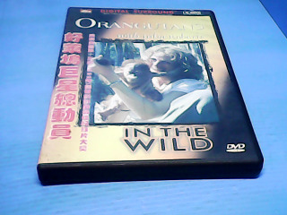 DVD-茱莉亞羅勃茲