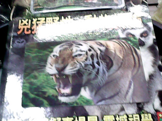 童書