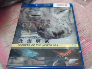 全新藍光DVD