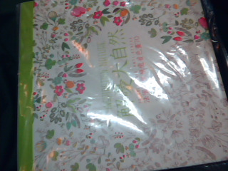 著色畫