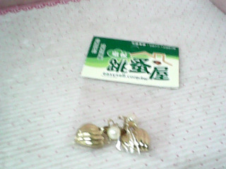 耳環