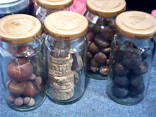 手做材料 種子罐