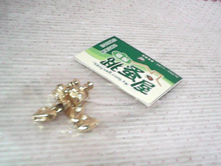耳環