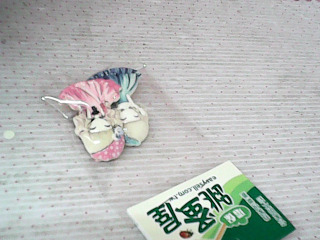 髮飾