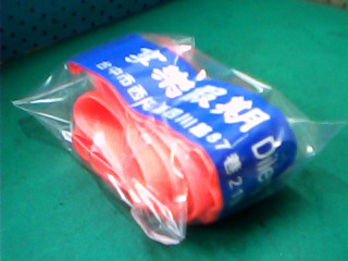 行李箱固定帶