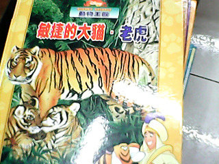 童書-單售