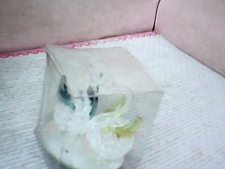 擺飾