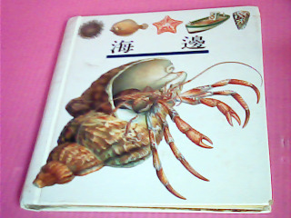 童書