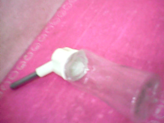 寵物喝水器