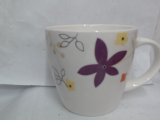杯