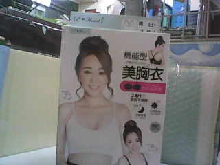 機能型美胸衣L