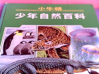 童書
