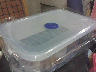 全新 微波保鮮盒