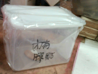 小收納盒
