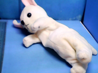 娃娃筆袋