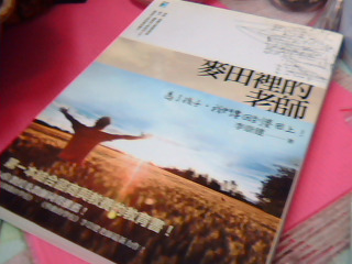 書-麥田裡的老師