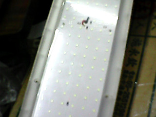 LED燈