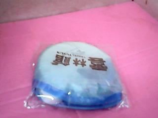 扇子