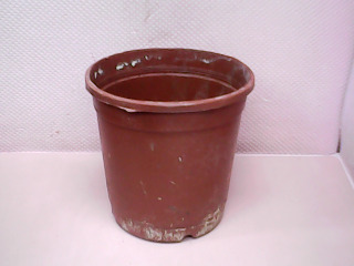花盆