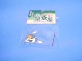 墬子