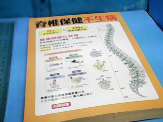 書-脊椎保健不生病