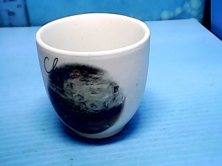 杯