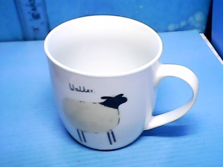 杯