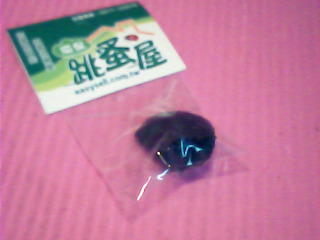 擺飾