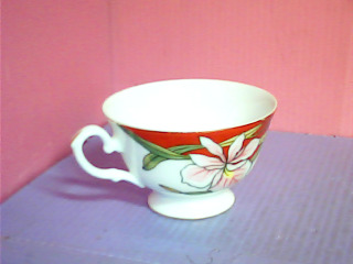 杯