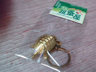 金龜鑰匙圈