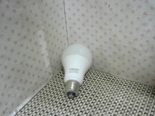 全新/LED燈泡/白光