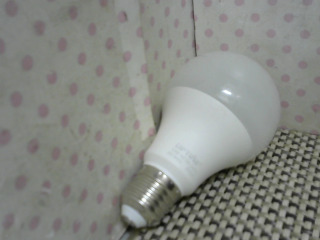 全新 LED 白光燈泡