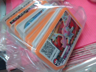 寶可夢卡匣17張