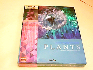 藍光DVD