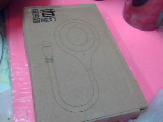 語音智能燈