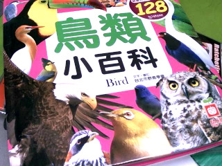 鳥類小百科
