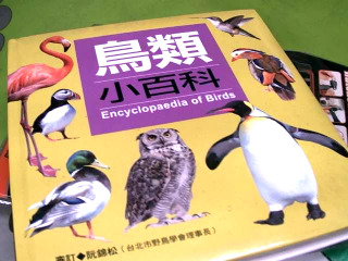 商品照片
