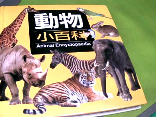 商品照片