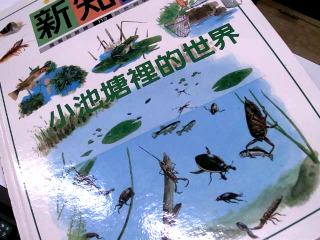 書