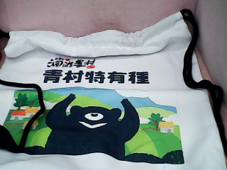 背袋