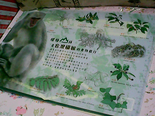 墊板